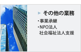 その他の業務　事業継承、NPO法人、社会福祉法人